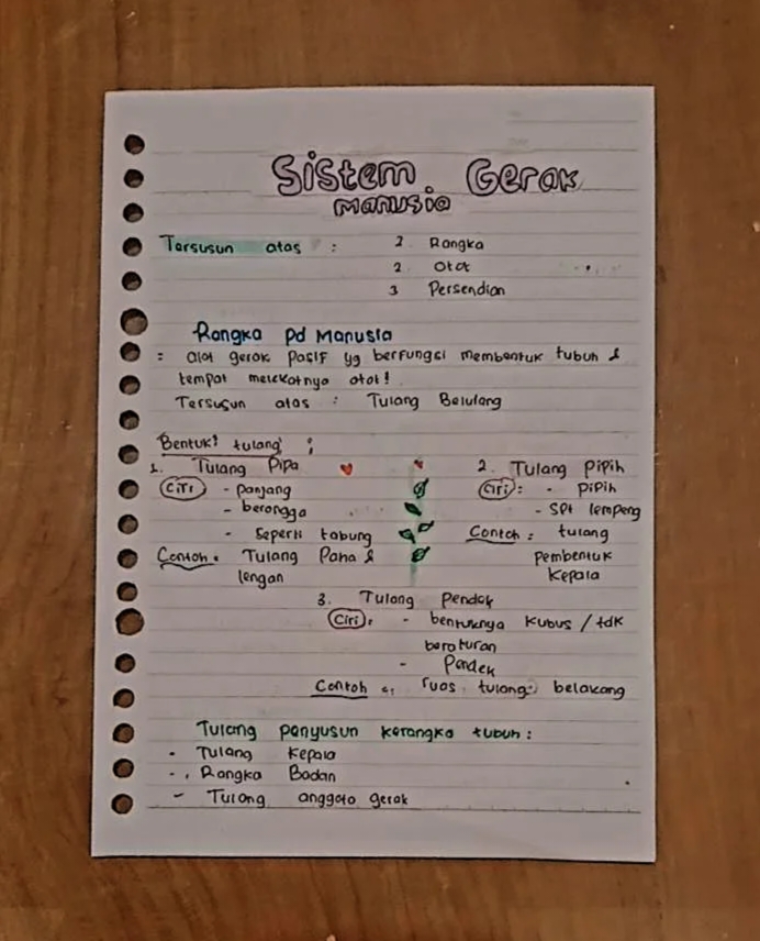 Sistem gerak manusia 